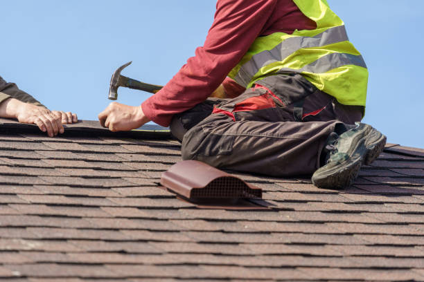 Best Roof Gutter Cleaning  in Red Chute, LA