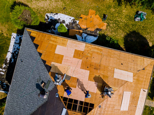 Best New Roof Installation  in Red Chute, LA